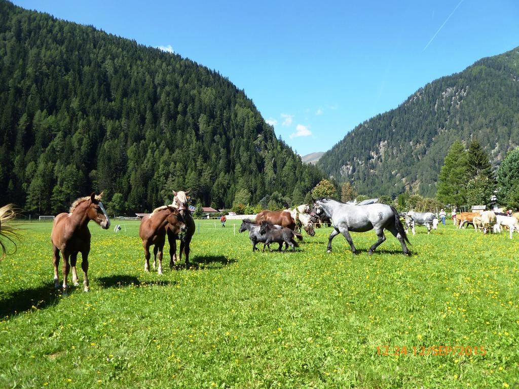 Hotel Gaestehaus Truskaller Mallnitz Esterno foto
