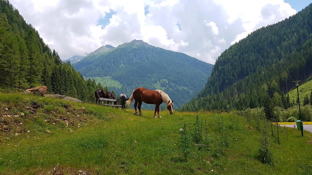 Hotel Gaestehaus Truskaller Mallnitz Esterno foto